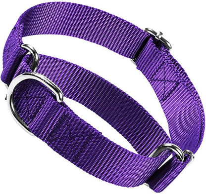 Choker Collar for Dogs, No Pull Martingale Dog Collar Escape Proof Cinch Dog Training Collars Adjustable for Small Medium Large Breed Pet Dogs, Purple M