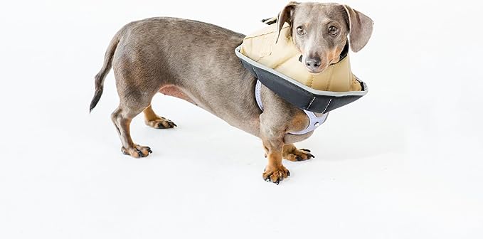 All Four Paws Comfy Cone Pet Cone for Dogs, Cats, Small-Long, Tan - Comfortable Soft Dog Cone Collar Alternative for After Surgery, Wound Care, Spay, Neuter - Dog and Cat Recovery Elizabethan-Collar