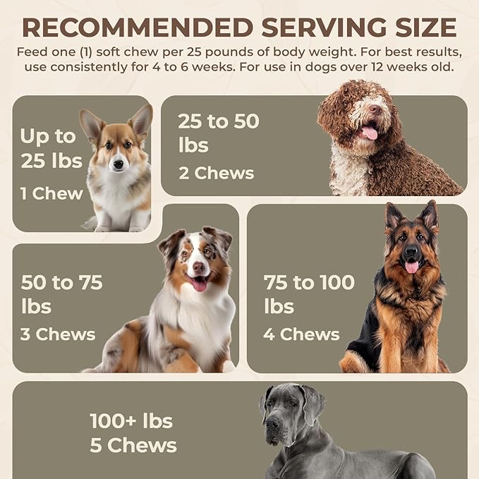 Bacon Calming Bites for Dogs - Separation Anxiety Relief & Stress Support - Hemp Calming Treats for Dogs - No Melatonin - 120 Bacon Flavor Soft Chews