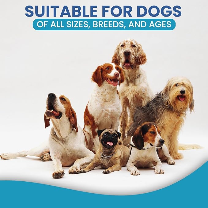 Replenish Allergy and Immune Chews for Dogs - Dog Allergy Support Soft Chews - Itchy Skin & Immune Support Supplements - Best Pet Allergy Chew for Seasonal Allergy Relief - Itch Relief Treats - 60 Ct