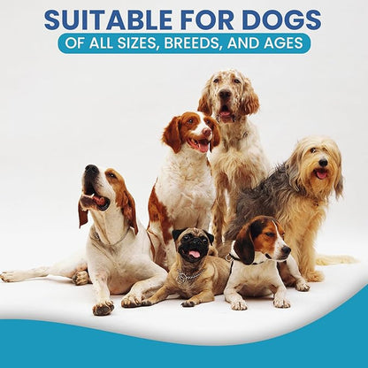 Replenish Allergy and Immune Chews for Dogs - Dog Allergy Support Soft Chews - Itchy Skin & Immune Support Supplements - Best Pet Allergy Chew for Seasonal Allergy Relief - Itch Relief Treats - 60 Ct