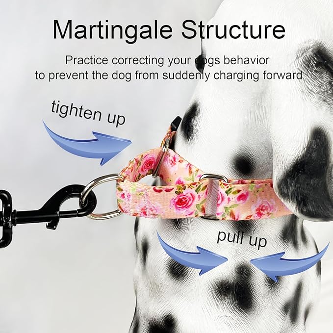 Martingale Collar for Dogs with Buckle Pink Floral Dog Collar No Pull Cute Girl Female Dog Collars for Small Dogs, Watercolor Pink Rose