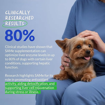 Same for Dogs - 120 Chewable Tablets - S-Adenosyl-L-Methionine, Liver Supplement - Brain Health, Promotes Cognitive Support, Liver Support (Same Tablet)