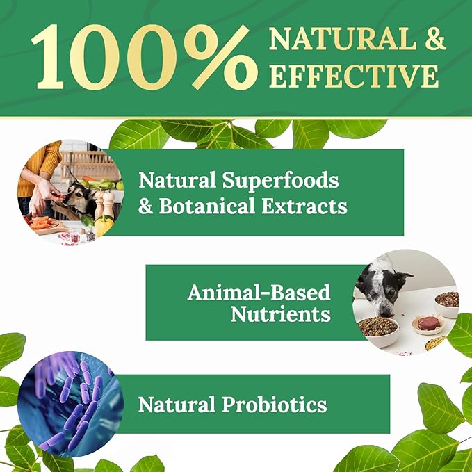 Pawbiotix Liquid probiotics for Dogs - Dog probiotics for Digestive Health | 100% Natural Dog Gut Health probiotics | probiotics for Dogs | Original Formula, Beacon Flavor, 1oz, 1 Month Supply