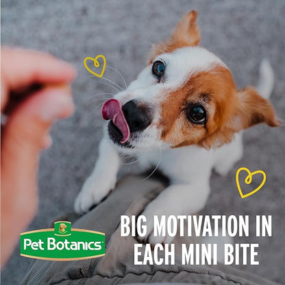 Pet Botanics 4 oz. Pouch Training Reward Mini Soft & Chewy, Duck and Bacon Flavor, with 200 Treats Per Bag, The Choice of Top Trainers