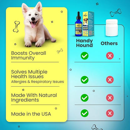 Handy Hound Dog Cough Supplement - Manuka Honey, Natural Herbal Formula for Throat Soothing & Mucus Support - Made in USA (4 Oz)