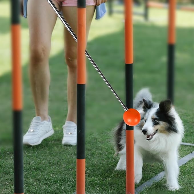 Training Kit - 1 Target Stick, 1 Training Clicker, 1 Whistle - Dog Training Equipment Tools, Cat Toilet Trainer Kit, Agility Training Lure Course For Dogs, Kitten Puppy Behavior Aids Trick (B Type)