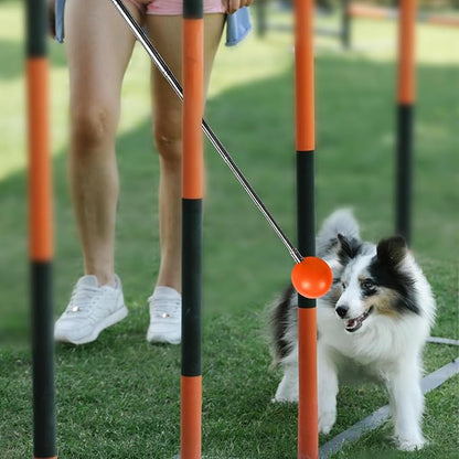 Training Kit - 1 Target Stick, 1 Training Clicker, 1 Whistle - Dog Training Equipment Tools, Cat Toilet Trainer Kit, Agility Training Lure Course For Dogs, Kitten Puppy Behavior Aids Trick (B Type)