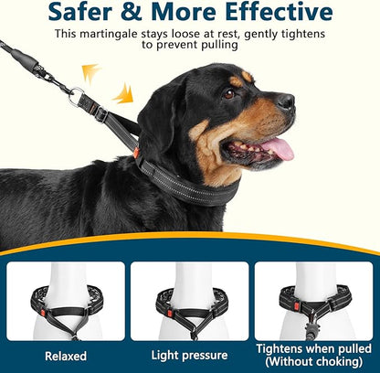 Crazy Felix No Pull Martingale Collar for Large Medium Small Dog Pitbull German Shepherd Doberman, Dog Collar Anti Pull with Buckle for Training Walking (Black, L-Neck 17-19.25", 1.5" Wide)
