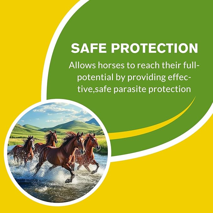 Horse Paste Apple Flavored Oral Paste Gel for Equine Use, Horse Paste Dewormer 6-Pack