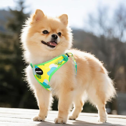 Small Dog Harness and Leash Set of 6, No Pull Soft Lightweight Mesh Puppy Harness， Adjustable Cute Floral Pattern Pet Harness for Small Medium Dogs (Green Leaf, M)