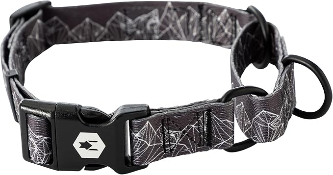 Wolfgang Heavy Duty Martingale Dog Collar with Quick Release Nylon Buckle for Walking & Training, WolfMountain Print, Small