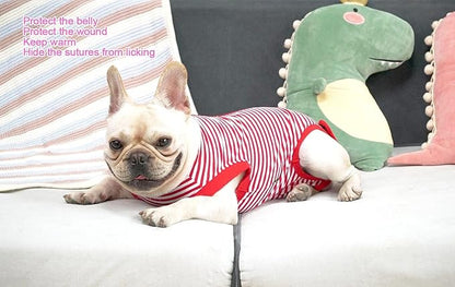 Dog Red Recovery Suit for XXX-Large Female Spay,Male Dog Surgery Suit,Narrow Red-White 3XL
