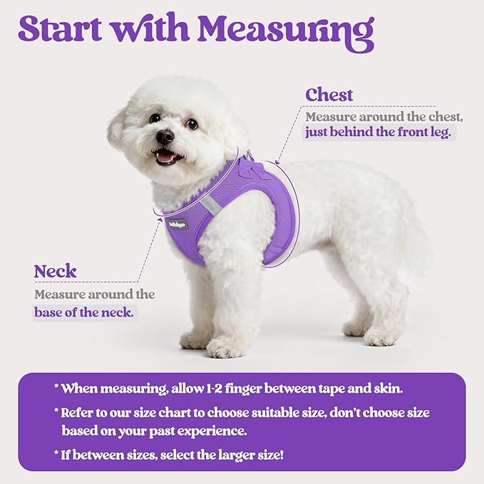 rabbitgoo Dog Harness Small Sized and Leash Set, Step in Soft Light Puppy Vest, Breathable Mesh Pet Harness, Reflective for Outdoor Safe Walking, Purple XXXS