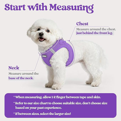 rabbitgoo Dog Harness Small Sized and Leash Set, Step in Soft Light Puppy Vest, Breathable Mesh Pet Harness, Reflective for Safe Outdoor Walking, Purple XS
