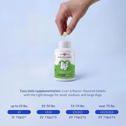 Milk Thistle for Dogs - 120 Chewable Tablets - Silymarin - Liver and Kidney Support with EPA & DHA - Detox - Liver Supplement for Dogs with Choline and L-Arginine (Milk Thistle Tablet)