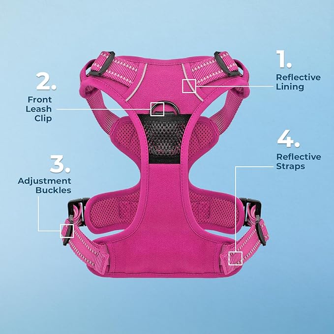 Voyager Dog Harness Dual Leash Attachment No-Pull Control Adjustable Soft but Strong Pet Harness for Medium and Large Dogs with 3M Reflective Technology, Fuchsia Nylon, M (Chest: 20-25")