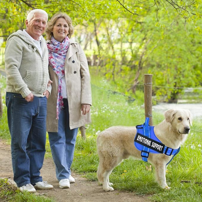 voopet Service Dog Harness,Emotional Support Pet Vest Harness,Reflective Breathable and Adjustable No-Pull ESA Dog Harness for Small Medium Large Dogs (with 4 PCS Removeable Tags) X-Small (Pack of 1)