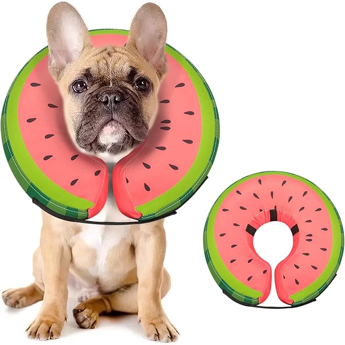 MIDOG Soft Inflatable Dog Cone, Donut E-Collar Alternative for After Surgery, Prevents Licking, Allowing Normal Eating & Vision, Comfortable Recovery Collar for Small Medium Large Dogs & Cats, Red-M+