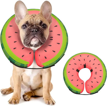 MIDOG Soft Inflatable Dog Cone, Donut E-Collar Alternative for After Surgery, Prevents Licking, Allowing Normal Eating & Vision, Comfortable Recovery Collar for Small Medium Large Dogs & Cats, Red-M+