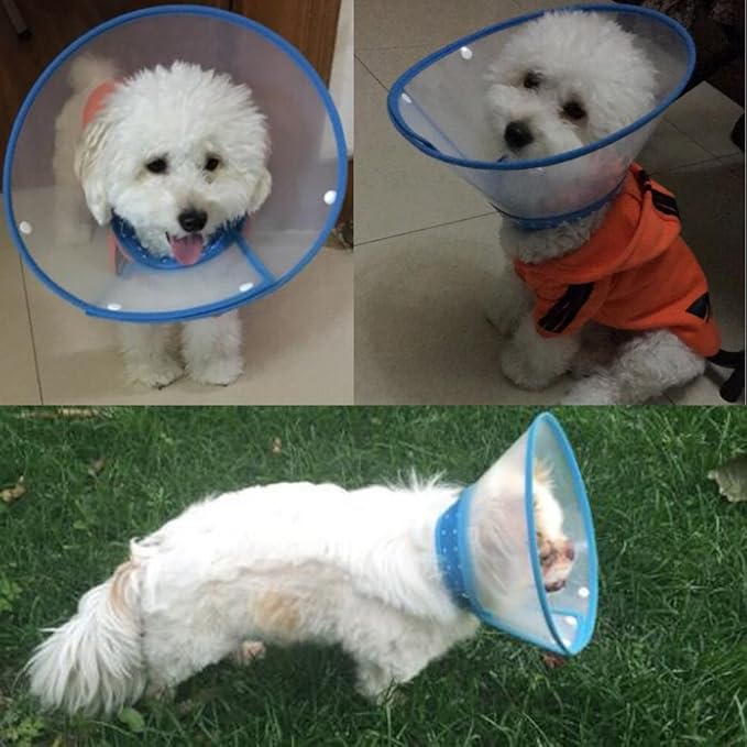 Pet Plastic Clear Cone Recovery E-Collar with Dots Design Soft Edge for Small Dogs & Cats (Medium, Blue)