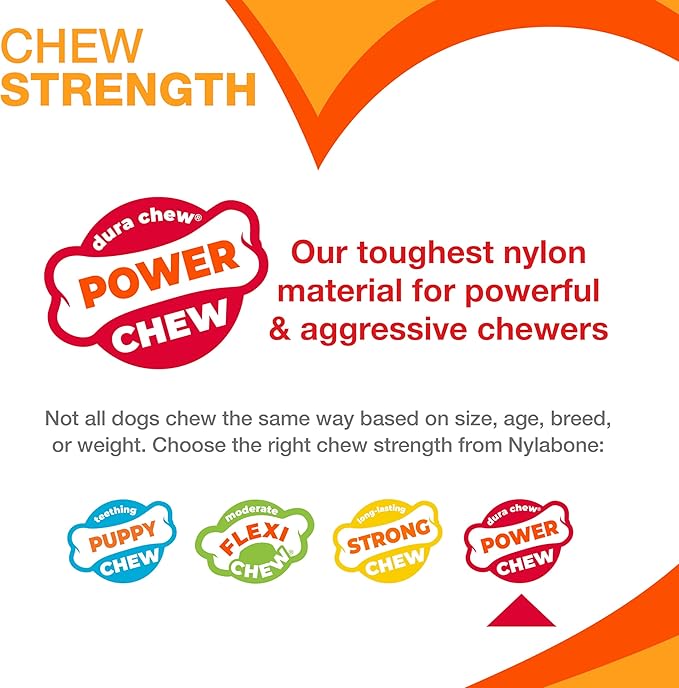 Nylabone Original & Textured Bone Power Chew Toy for Dogs, Durable & Tough Dog Toys for Aggressive Chewers, Basted Blast Bacon and Steak Flavor, X-Small Dogs - Up to 15 lbs, 2 Pack