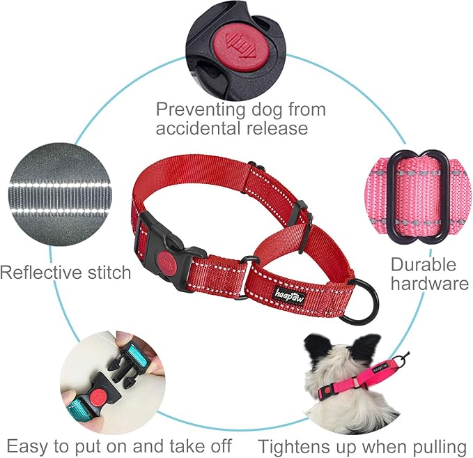 haapaw Martingale Dog Collar with Quick Release Buckle Reflective Dog Training Collars for Small Medium Large Dogs
