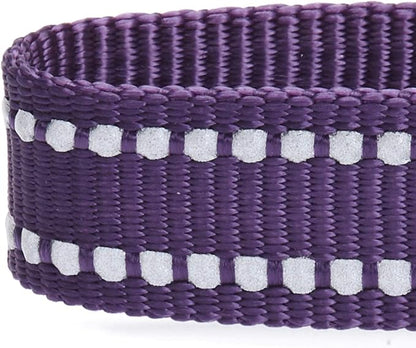 Blueberry Pet Essentials Durable 3M Reflective Classic Dog Leash 4 ft x 1", Violet, Large, Leashes for Dogs