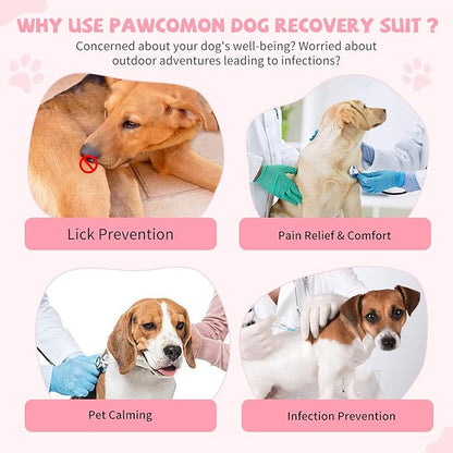 Dog Onesie for After Surgery Recovery Suit Pet Surgical Suit for Female Male Cone E-Collar Alternatives After Spay Abdominal Wounds Protector Dog Anti-Licking Onesie for Small Medium Dogs