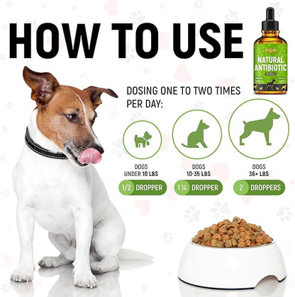 Dog Antibiotics for Infections, Cough, & Teeth Moments | Natural Antibiotics for Dogs with UTIs | Dog Allergy Relief & Canine Breath Treatment in 1 Bottle | Organic | 2 Oz