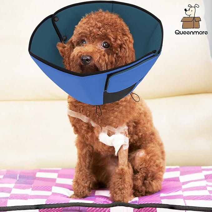 Queenmore Dog Cones for Large Dogs, Soft Dog Cone for Large Breeds, Cone for Dogs After Surgery, Adjustable Elizabethan Collar for Pet to Prevent Licking Wounds, Blue L
