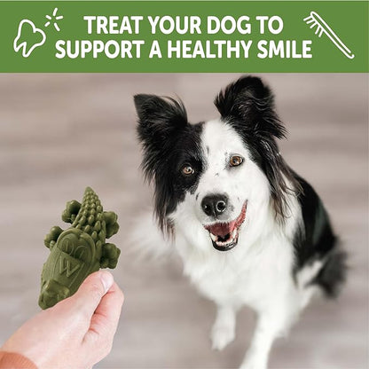 Whimzees Wellness Alligator Dog Dental Treat, Chews, Freshens Breath, Medium Size, 12.7 oz Bag, 12 Count