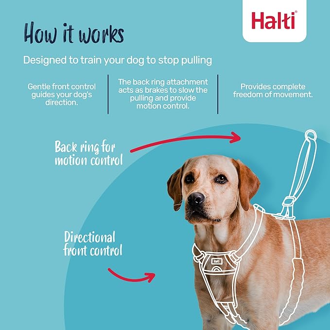 Halti No Pull Harness - Stop Your Dog Pulling on The Leash. Adjustable, Lightweight and Easy to Use. Reflective Dog Training Harness for Medium Dogs (Size M, Burnt Orange)