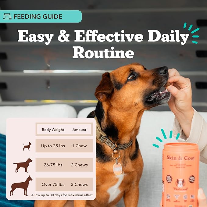 Natural Dog Company Skin & Coat Supplement Chew for Dogs – Omega 3 Salmon Oil, Biotin & Vitamin E Support Shiny Coat, Healthy Skin & Normal Shedding, Promotes Comfort from Occasional Itch, 180 Count