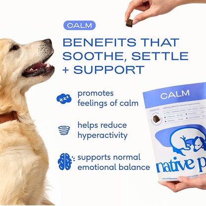 Native Pet Calming Chews for Dogs XL Breed - Promotes Calming Effect, Supports Emotional Balance & Reduces Hyperactivity - Hemp Seed, Melatonin for Dogs, L-Theanine & Casein - 30 Days Supply