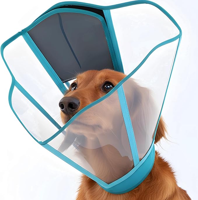 Comfy Dog Cone Collar for Dogs to Stop Licking, Soft Transparent E Collar for Small Dogs After Surgery, Extra-Long Recovery Cones, Durable & Easy-Clean Pet Neck Collar, Lightweight Cone(Blue-Green, S)