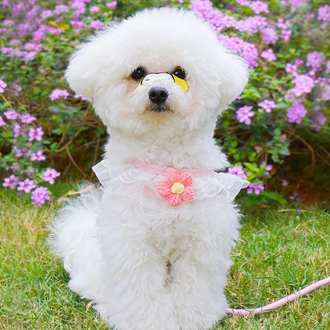 Cat Harness Collar and Leash Set, Sweet Lace Floral Kitten Collar, Escape Proof Puppy Chest Harness, Adjustable Cute Harness Leash Set for Cat Puppy Dog Outdoor Walking (Pink, M)