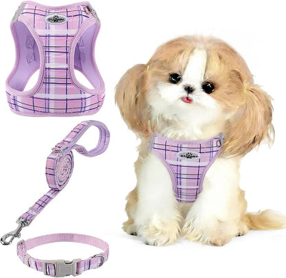 Gyuzh Dog Harness and Leash Set for Puppies - 3 Piece Step in No Pull Vest & Collar, Extra Small Kitten Harness, Breathable Reflective Plaid, Padded Leash (Purple, S)