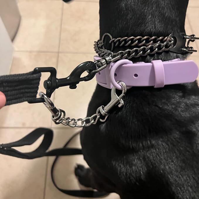 Safety Clip Metal Double Ended Backup Dog Collar Clip for Prong Harness Connector (Small)
