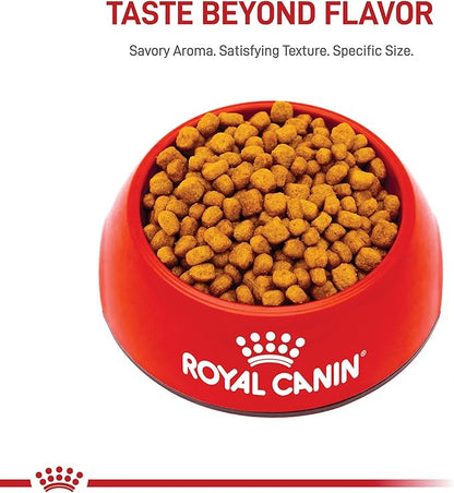 Royal Canin Chihuahua Adult Breed Specific Dry Dog Food, 10 Pounds. Bag