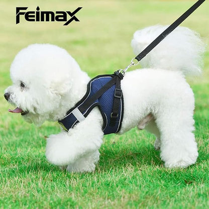 FEimaX Dog Harness and Leash Set, No Pull Breathable Soft Mesh Puppy Vest Harness Reflective Adjustable Pet Harnesses for Small Medium Dogs and Cats - Outdoor Easy Control for Walking