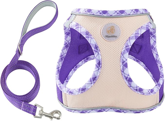 Hipubby Dog Harness Small Sized and Leash Set, No Pull Soft Mesh Puppy Vest, Reflective Breathable Lightweight Pet Harness, Harness for Small Medium Dogs and Cats - Purple/White Trim, M