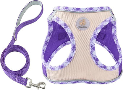 Hipubby Dog Harness Small Sized and Leash Set, No Pull Soft Mesh Puppy Vest, Reflective Breathable Lightweight Pet Harness, Harness for Small Medium Dogs and Cats - Purple/White Trim, M