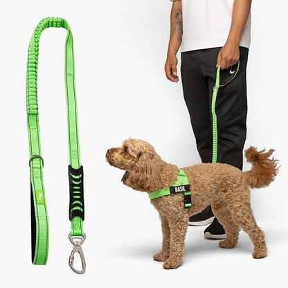 Dog Friendly Co. Bungee Dog Leash | Strain Free & Shock Resistant for Control | Neoprene Padded Handle, Heavy-Duty Carabiner Clip, and D-Ring | Neon Green, Size Regular