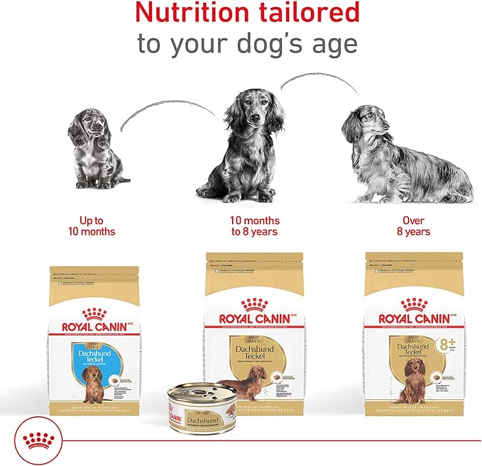 Royal Canin Breed Health Nutrition Dachshund Adult Loaf in Sauce Dog Food, 3 oz (Pack of 6)