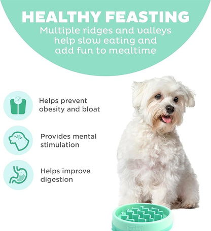 Outward Hound Fun Feeder Slo Bowl – Small 3/4-Cup Capacity, Slow Feeding, Small Dogs, Puppies & Cats, Non-Slip, Mint, Wave Pattern