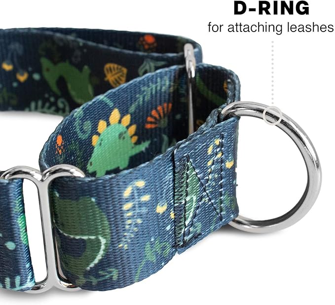 Downtown Pet Supply - Martingale Collar for Dogs - Dog Training Collar - Big, Wide & Thick Dog Collar - Escape-Proof, Weatherproof, Durable and Comfortable - Dino - Large Dog Collar