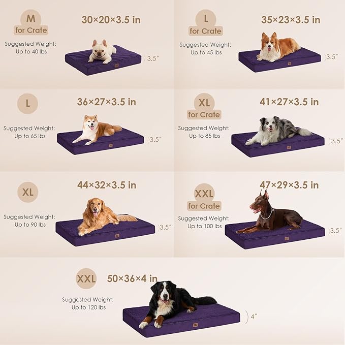 EHEYCIGA Orthopedic Dog Beds for Large Dogs with Removable Washable Cover for Crate, Purple, 35x23