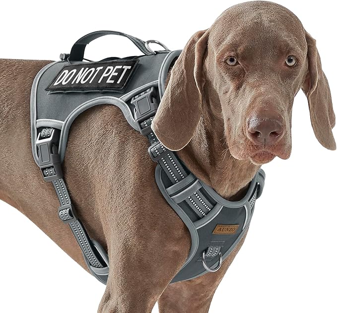 AUNZO Gray Tactical Dog Harness for Large Dog Breeds, No Pull Adjustable Pet Harness with Handle, Reflective K9 Military Service Dog Vest for Walking Hiking Training, Gray, XL
