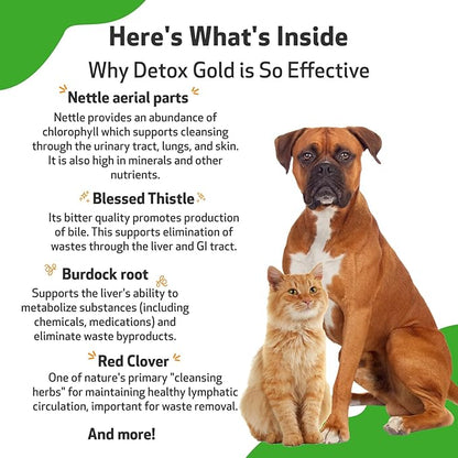 Pet Wellbeing Detox Gold for Dogs & Cats - Gentle Detoxification & Elimination Support, Immune System Care, Nettle, Blessed Thistle - Veterinarian-Formulated Herbal Supplement 4 oz (118 ml)